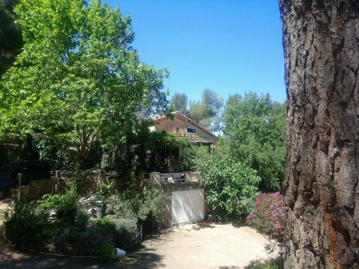Maison De Charme Avec Piscine Et Jacuzzi Dans Cadre Exceptionnel Proche Marseille Mirabeau Eksteriør bilde