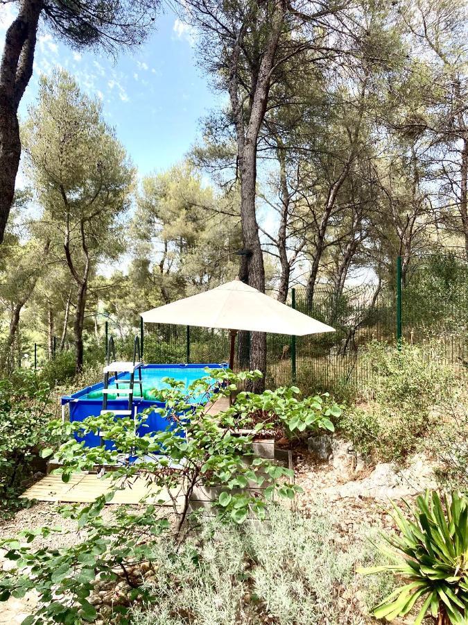 Maison De Charme Avec Piscine Et Jacuzzi Dans Cadre Exceptionnel Proche Marseille Mirabeau Eksteriør bilde